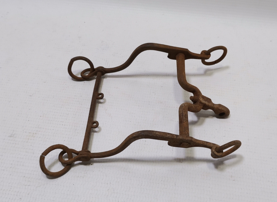 OSMANLI DÖNEMİ SÜVARİ AT GEMİ