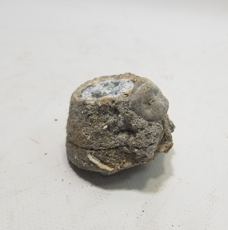 1. DÜNYA SAVAŞI DÖNEMİ FOSİLLEŞMİŞ OSMANLI TOP MERMİSİ BAŞLIĞI