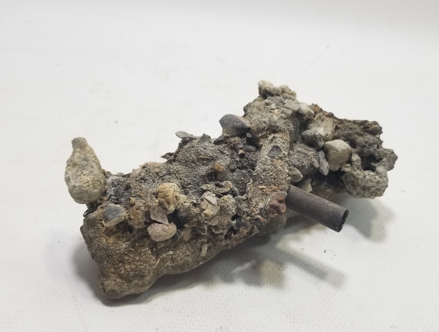 1. DÜNYA SAVAŞI DÖNEMİ FOSİLLEŞMİŞ OSMANLI MAVZER MERMİSİ KOVANI