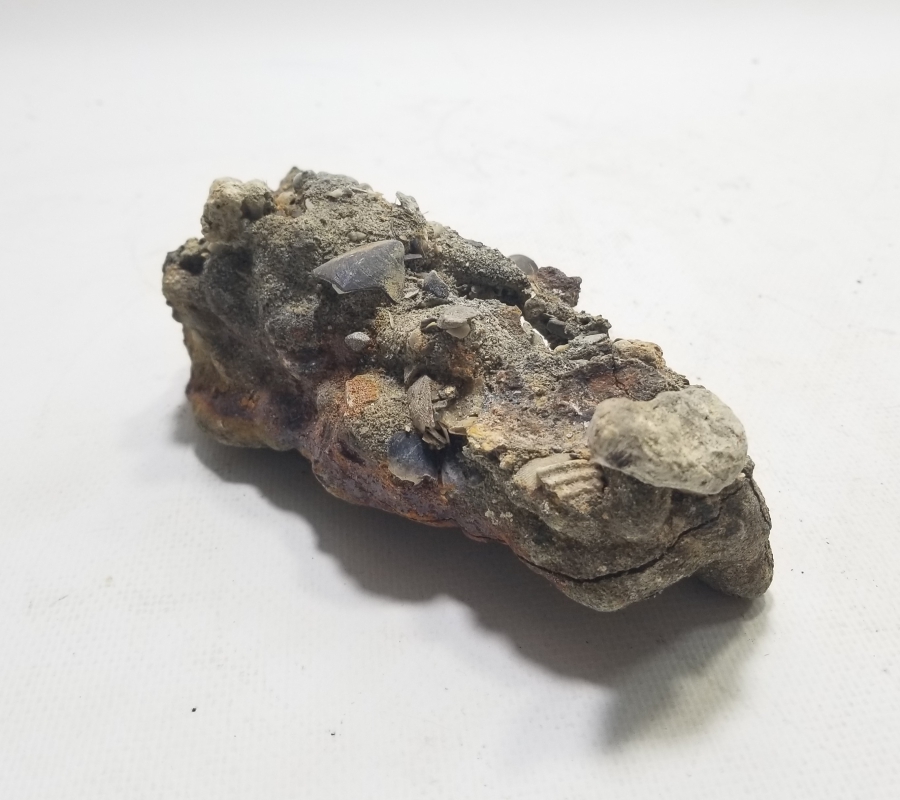 1. DÜNYA SAVAŞI DÖNEMİ FOSİLLEŞMİŞ OSMANLI MAVZER MERMİSİ KOVANI