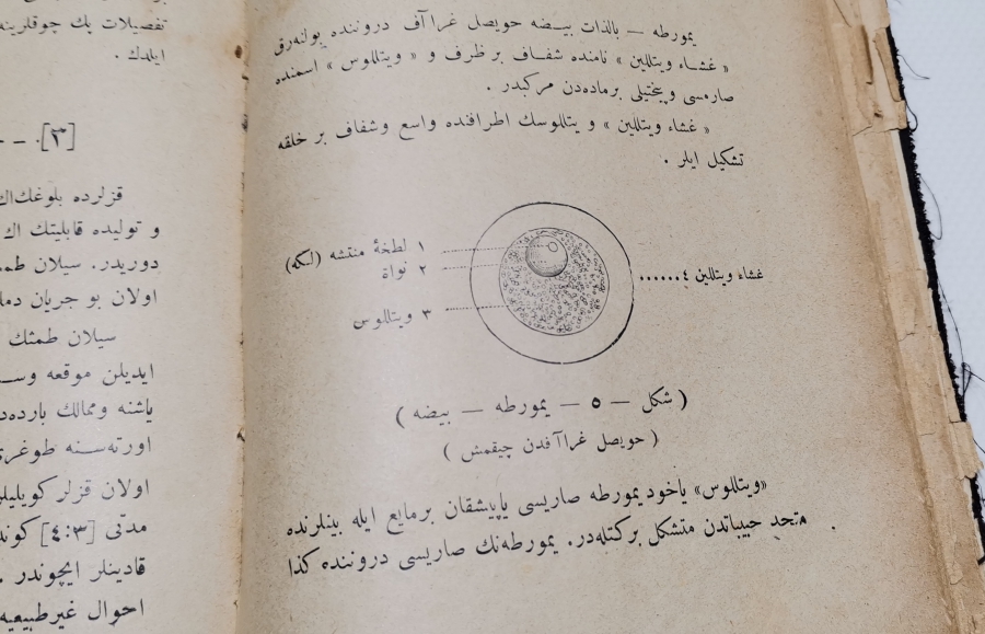 NASİHATNAME-İ İZDİVAÇ İSİMLİ OSMANLI DÖNEMİ NADİR TAŞ BASKI KİTAP