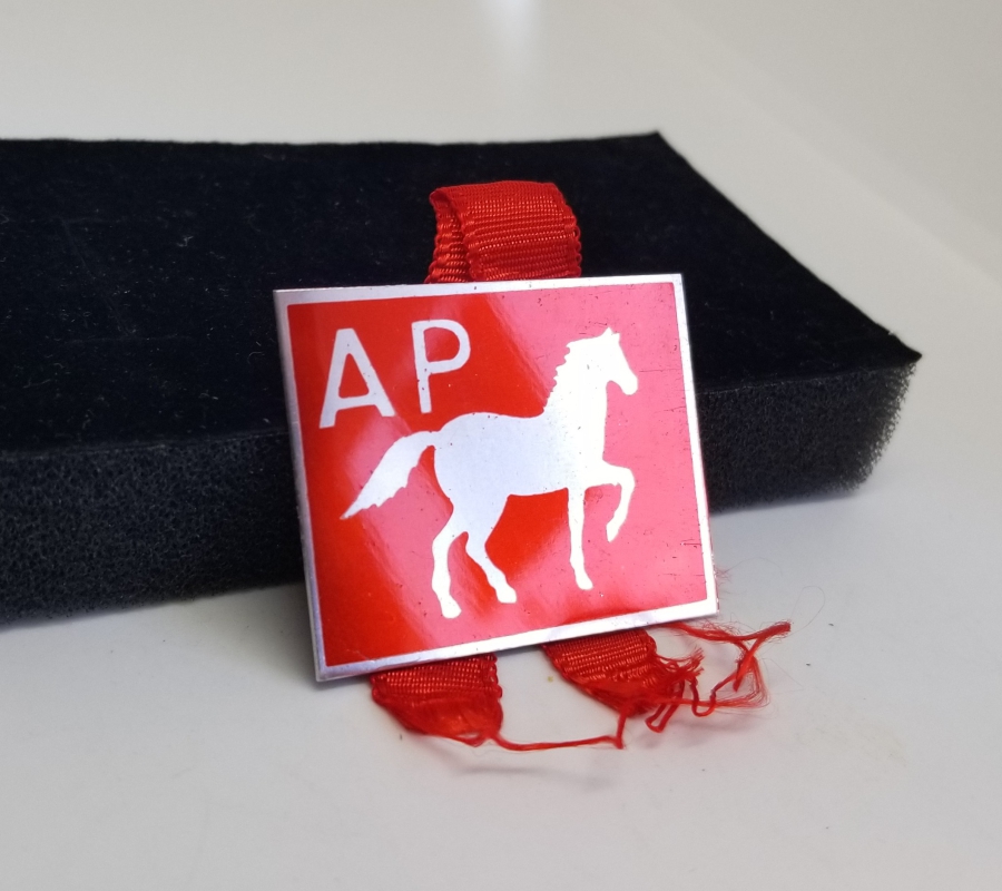 ANTİKA ADALET PARTİSİ ROZET