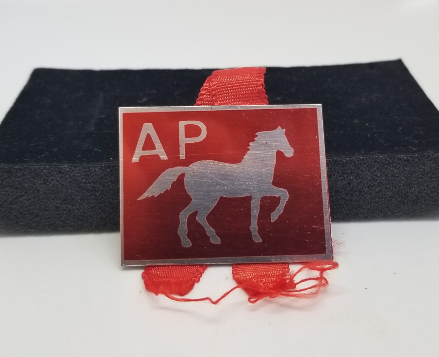 ANTİKA ADALET PARTİSİ ROZET