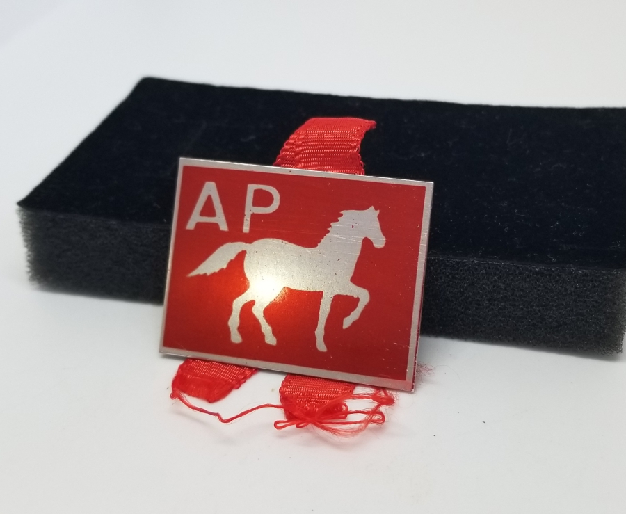 ANTİKA ADALET PARTİSİ ROZET