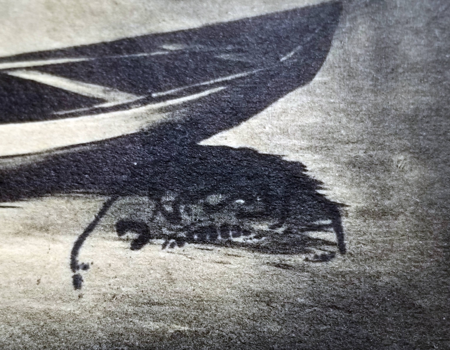 YENİBAHÇELİ ŞÜKRÜ KOLEKSİYONUNDAN OSMANLI DÖNEMİ ARKASI YAZILI KARTPOSTAL