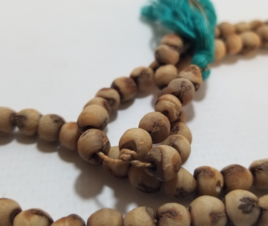 HURMA ÇEKİRDEĞİNDEN YAPILMIŞ OSMANLI DÖNEMİ NAMAZ TESPİHİ