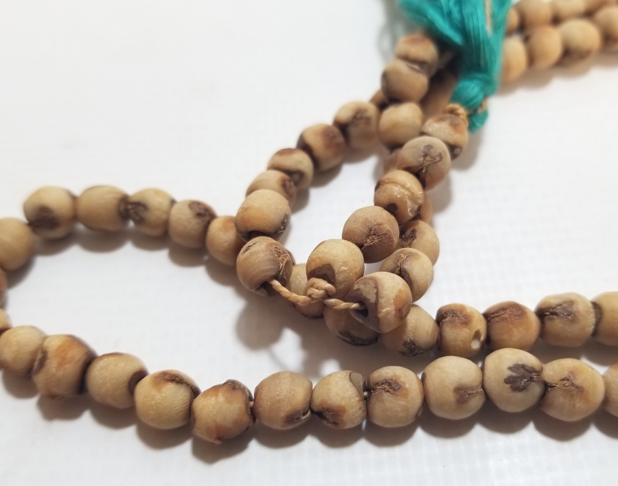 HURMA ÇEKİRDEĞİNDEN YAPILMIŞ OSMANLI DÖNEMİ NAMAZ TESPİHİ