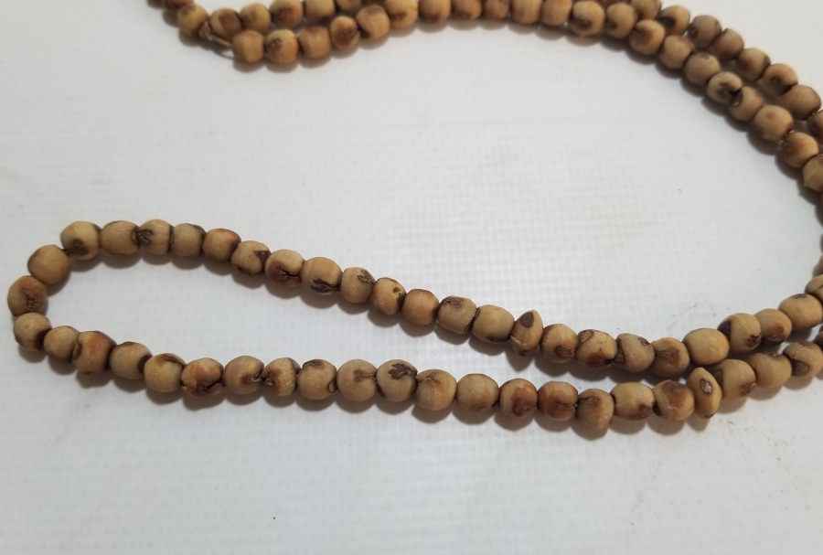 HURMA ÇEKİRDEĞİNDEN YAPILMIŞ OSMANLI DÖNEMİ NAMAZ TESPİHİ