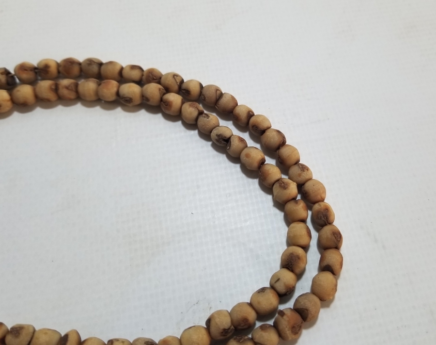 HURMA ÇEKİRDEĞİNDEN YAPILMIŞ OSMANLI DÖNEMİ NAMAZ TESPİHİ