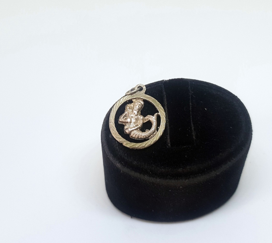 GÜMÜŞ BURÇ KOLYESİ