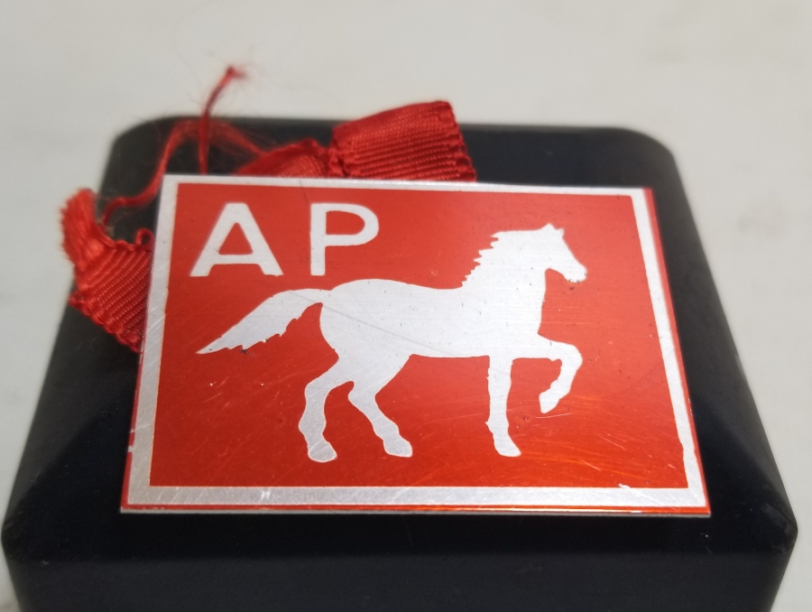 ANTİKA ADALET PARTİSİ ROZET