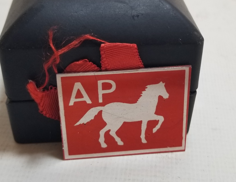 ANTİKA ADALET PARTİSİ ROZET