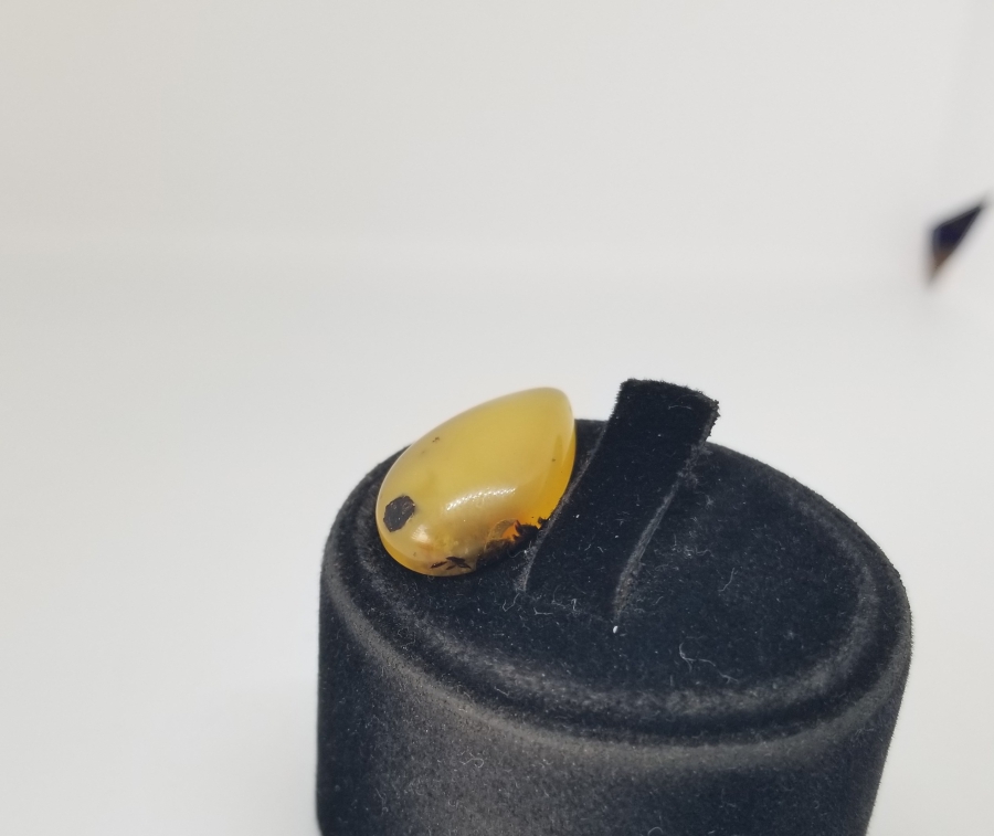 BİTKİ FOSİLLİ NADİR DAMLA KEHRİBAR YÜZÜK KAŞI