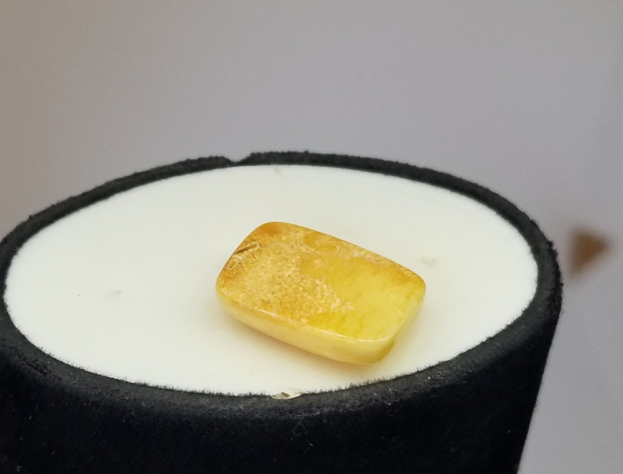 BİTKİ FOSİLLİ NADİR DAMLA KEHRİBAR YÜZÜK KAŞI