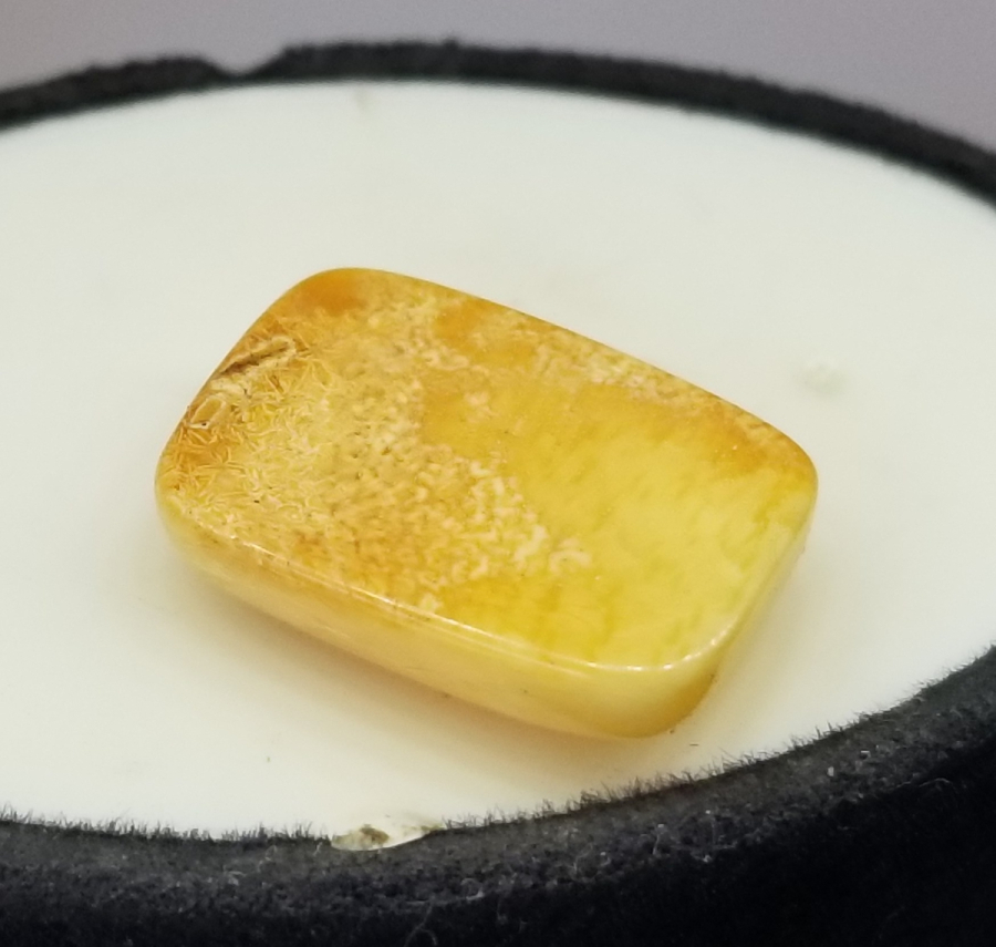 BİTKİ FOSİLLİ NADİR DAMLA KEHRİBAR YÜZÜK KAŞI