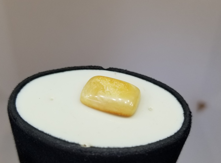 BİTKİ FOSİLLİ NADİR DAMLA KEHRİBAR YÜZÜK KAŞI