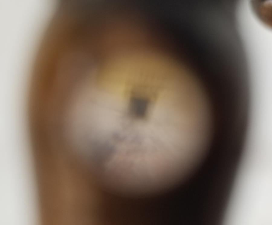 İÇİNDE KABE-İ ŞERİF GÖRSELİ BULUNAN MİKRO FOTOĞRAFLI OSMANLI DÖNEMİ AHŞAP NAMAZ TESPİHİ