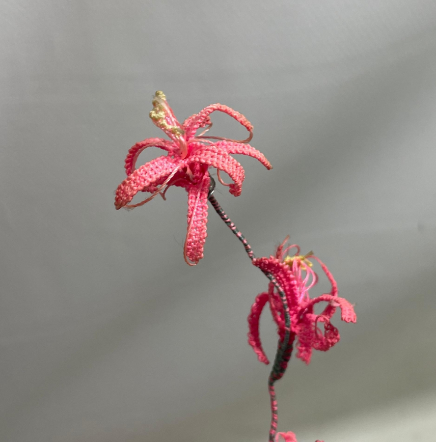 OSMANLI DÖNEMİ İĞNE OYALI KOZAK YÖRESİ NADİR GELİN ÇİÇEĞİ