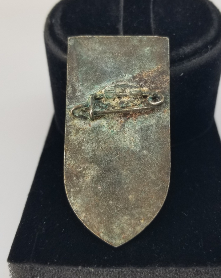 1934 NAZİ PARTİ BRÖVESİ