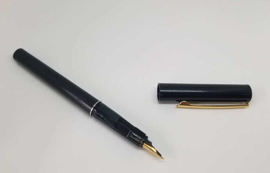 ÇİL KONDİSYONDA DOLMA KALEM