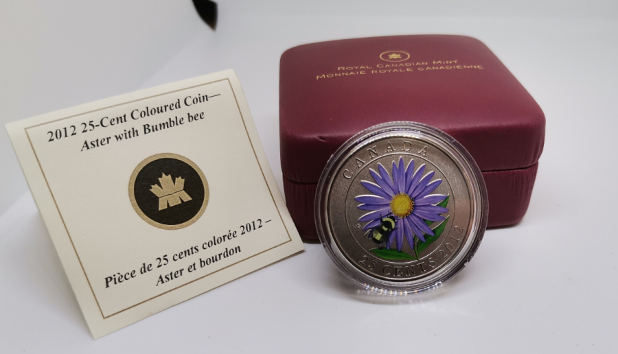 GÜMÜŞ KAPLAMA ÇİL KONDİSYONDA HATIRA KANADA 25 CENT