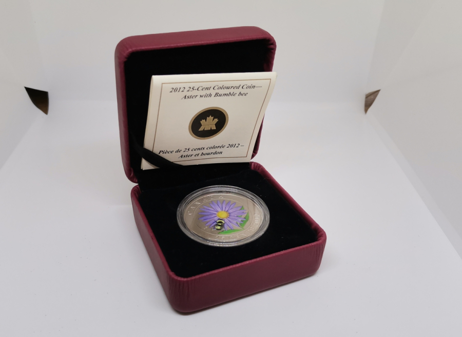 GÜMÜŞ KAPLAMA ÇİL KONDİSYONDA HATIRA KANADA 25 CENT