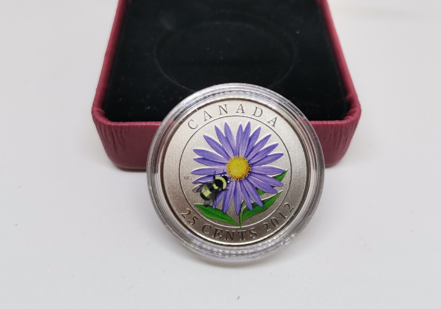 GÜMÜŞ KAPLAMA ÇİL KONDİSYONDA HATIRA KANADA 25 CENT