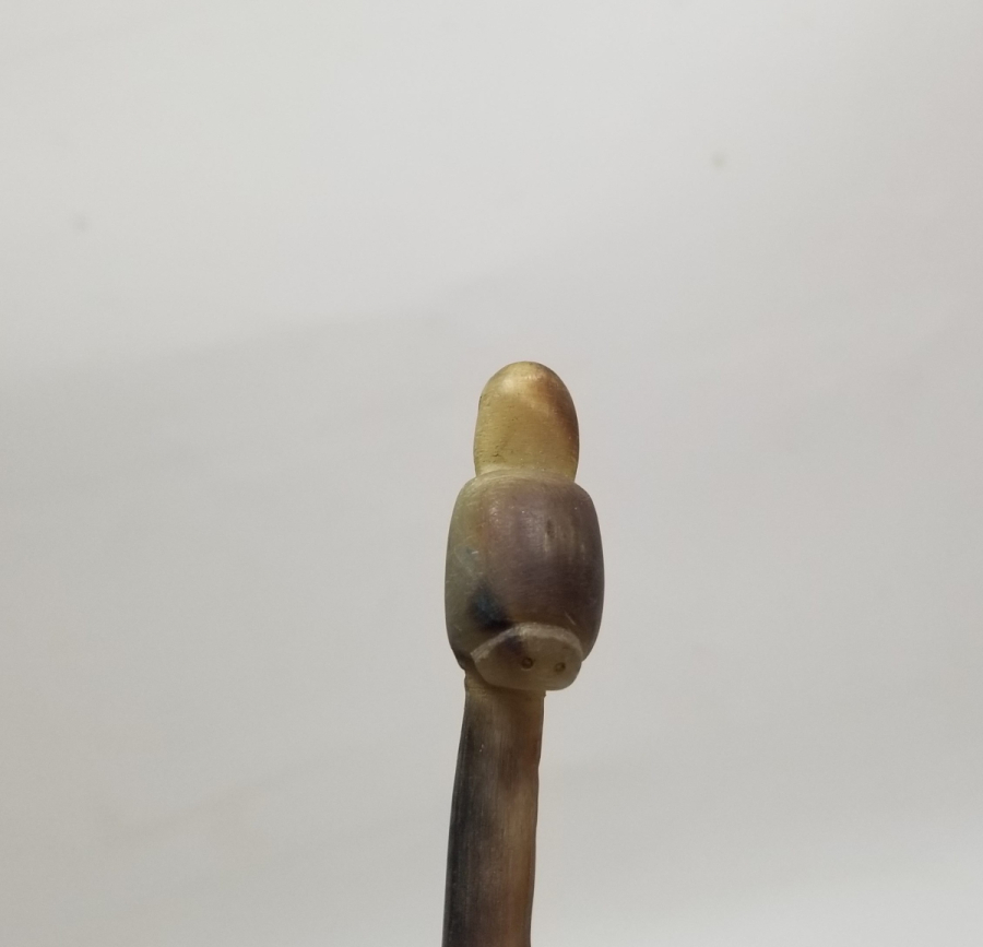 OSMANLI DÖNEMİ BOYNUZ KERATA