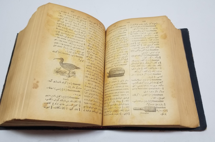 OSMANLI DÖNEMİ NADİR BOYDA FRANSIZCA TÜRKÇE SÖZLÜK