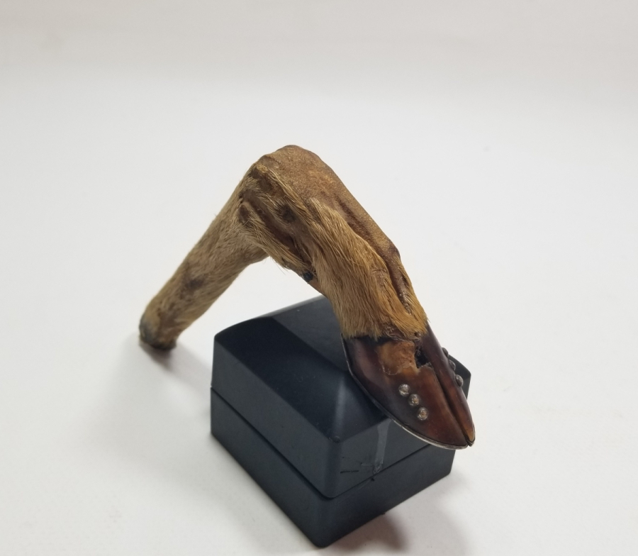 OSMANLI DÖNEMİ ÖZEL YAPIM SAVATLI GÜMÜŞ APLİKLİ CEYLAN AYAĞINDAN YAPILMIŞ BASTON