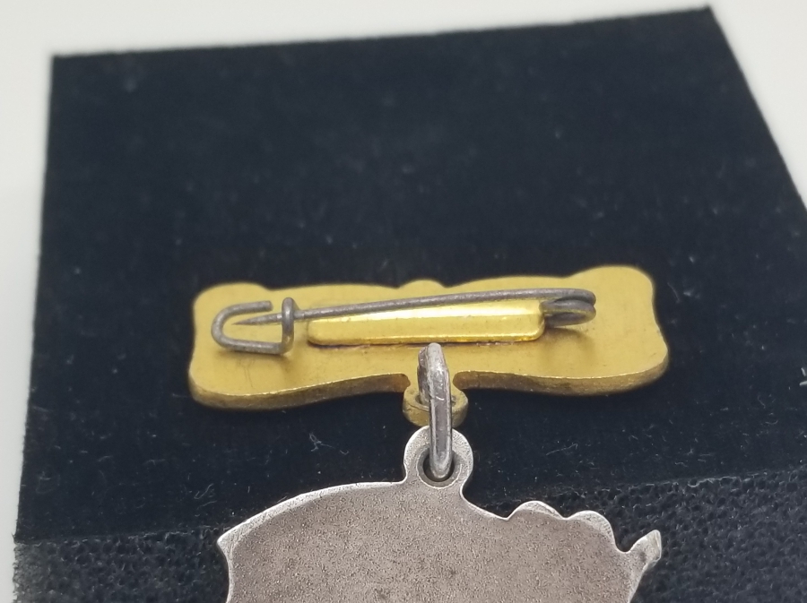 3. DERECE SOVYET GÜMÜŞ ANNELİK NİŞANI