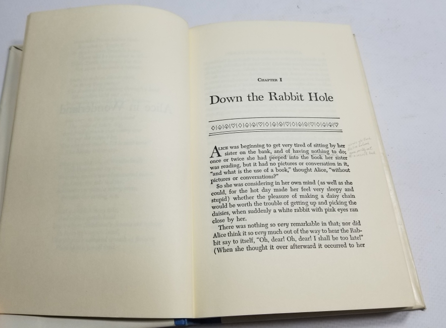 İNGİLİZCE ALİCE HARİKALAR DİYARINDA İSİMLİ KİTAP