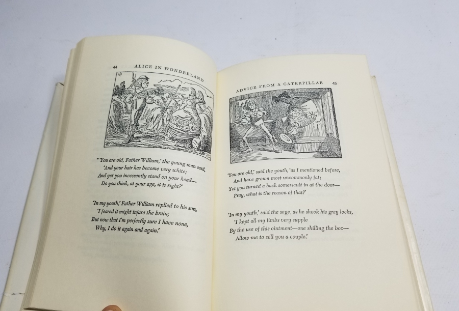 İNGİLİZCE ALİCE HARİKALAR DİYARINDA İSİMLİ KİTAP