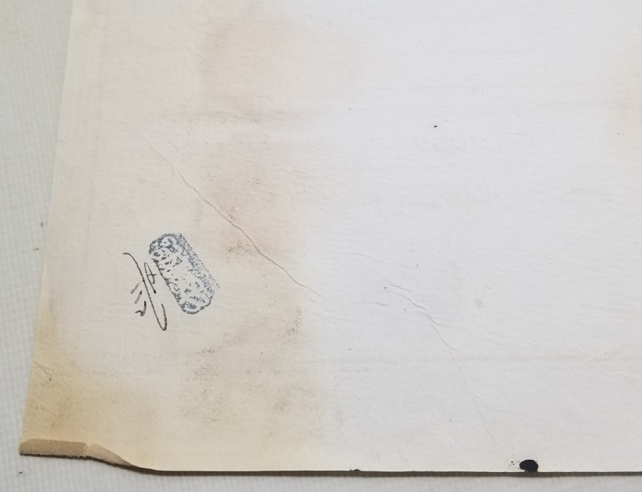 BİR PAŞAMIZA AİT ABDÜLHAMİD HAN DÖNEMİ PRİŞTİNE TAPUSU