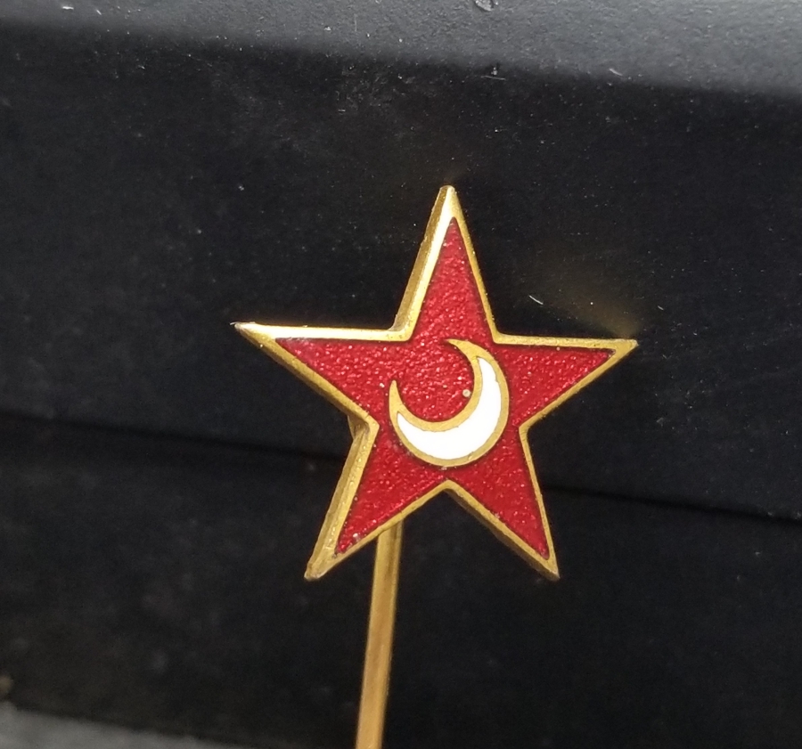 OSMANLI DÖNEMİ NADİR HİMAYE-İ ETFAL ROZET