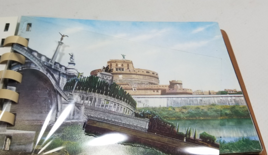 ROMA REHBERİ İSİMLİ RESİMLİ KİTAP