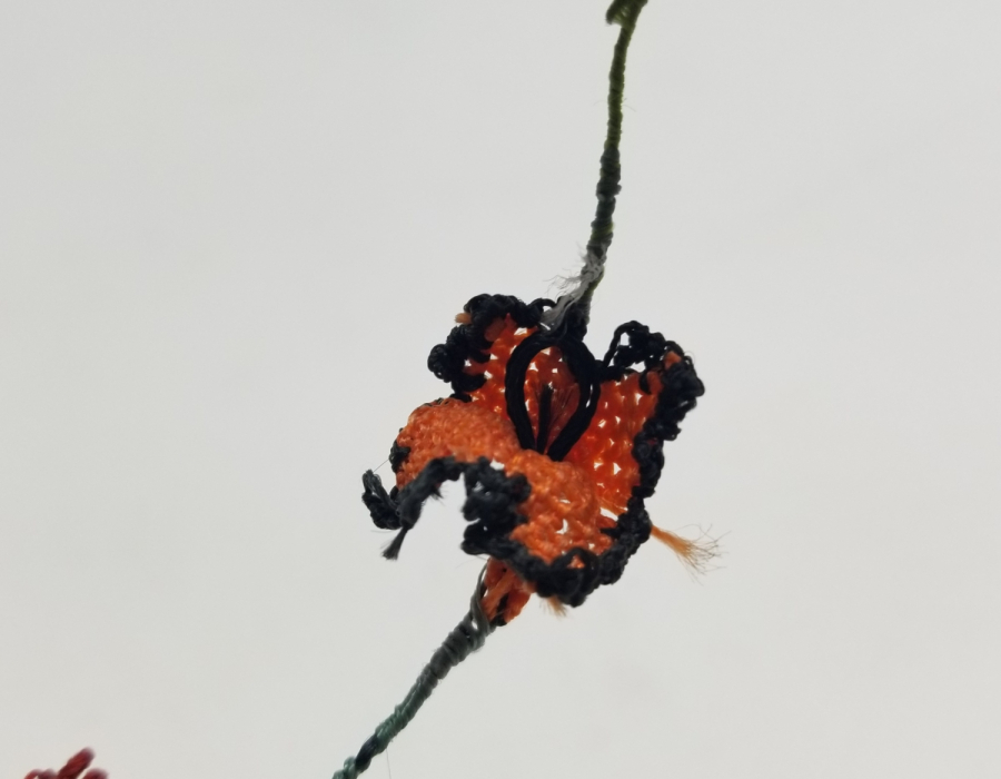 OSMANLI DÖNEMİ İĞNE OYALI KOZAK YÖRESİ NADİR GELİN ÇİÇEĞİ