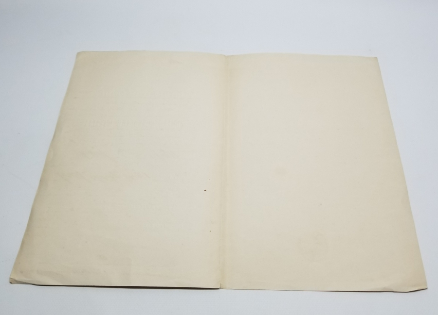 OSMANLI DÖNEMİ 1876 TARİHLİ İTALYAN KONSOLOSLUĞU KARTON DOSYA