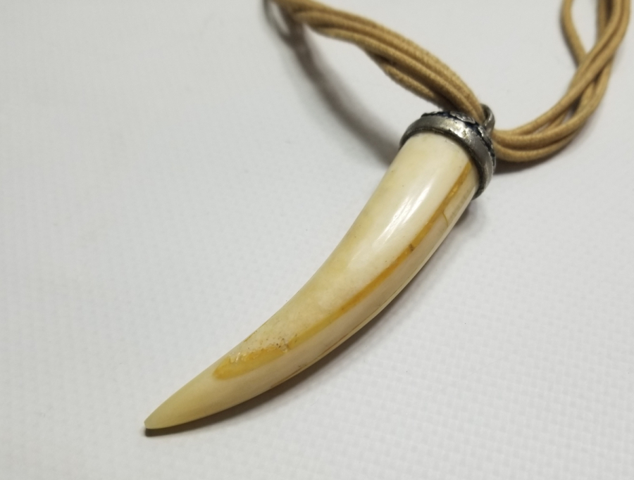 UZAKDOĞU YAPIMI KAPLAN DİŞİ KOLYE