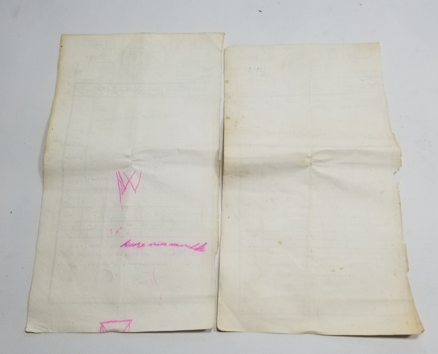 OSMANLI DÖNEMİ İKİ ADET SENED-İ HAKANİ - TAPU