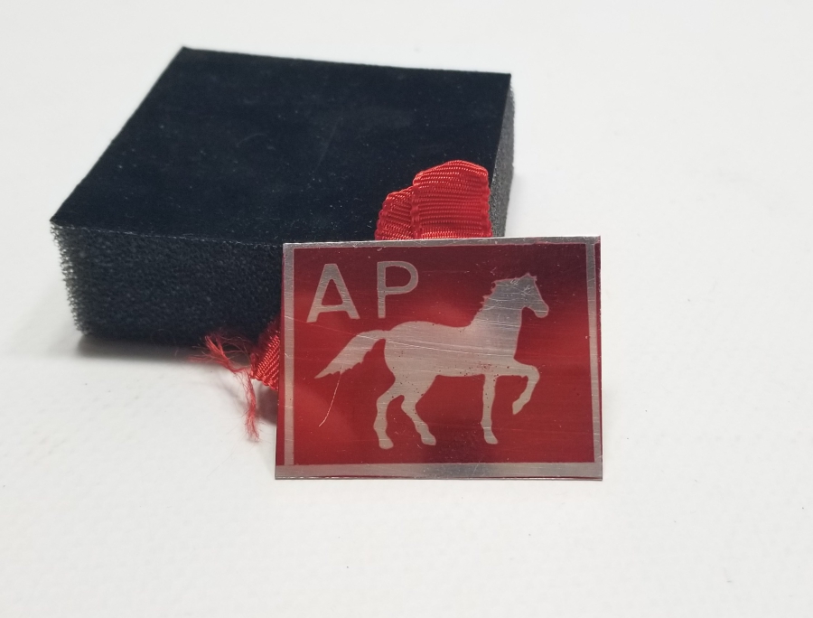 ANTİKA ADALET PARTİSİ ROZET