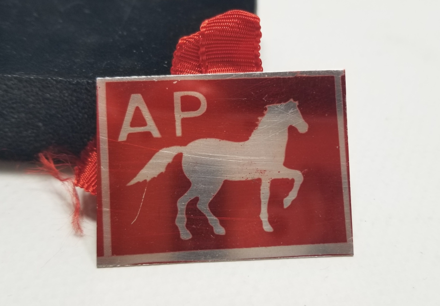 ANTİKA ADALET PARTİSİ ROZET