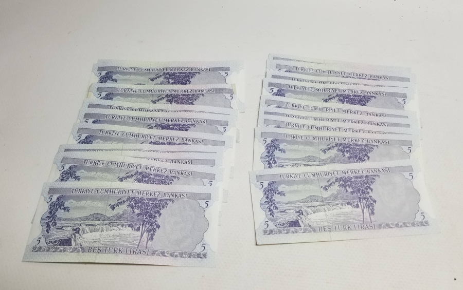ANTİKA KAĞIT 5 LİRA LOTU
