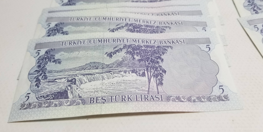 ANTİKA KAĞIT 5 LİRA LOTU