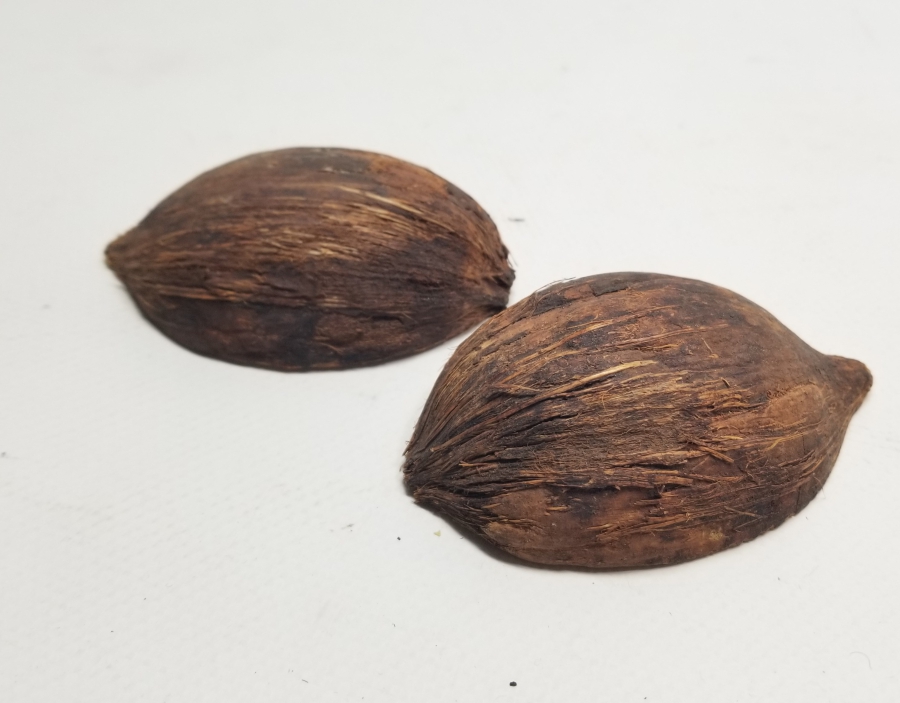 TESPİH YAPIMINA UYGUN ORTADAN KESİLMİŞ HAM KUKA