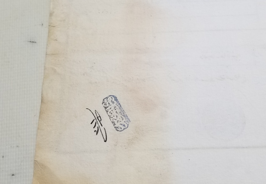 ABDÜLHAMİD HAN DÖNEMİ SENED-İ HAKANİ - TAPU