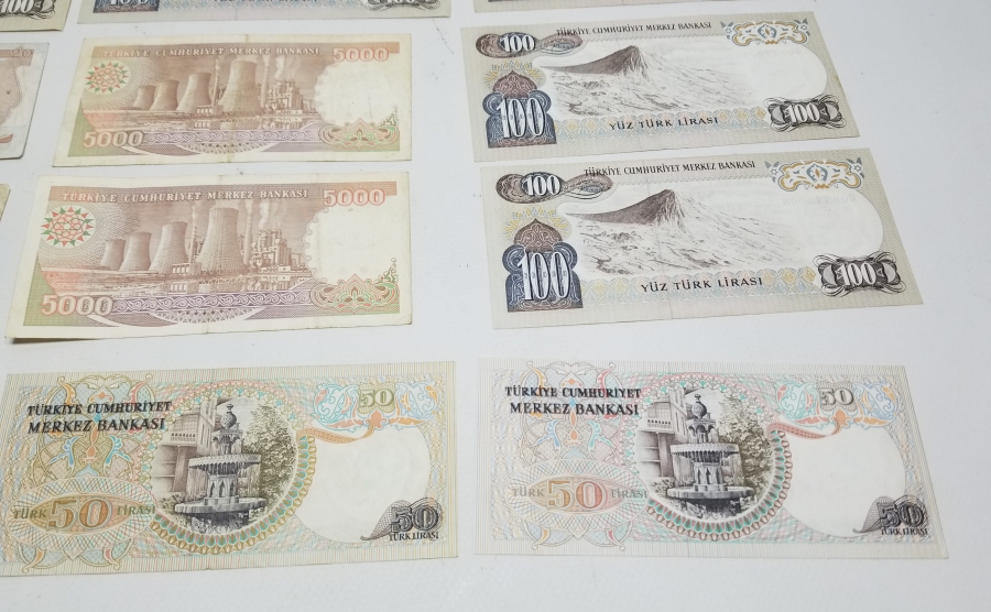 ANTİKA KAĞIT PARA LOTU