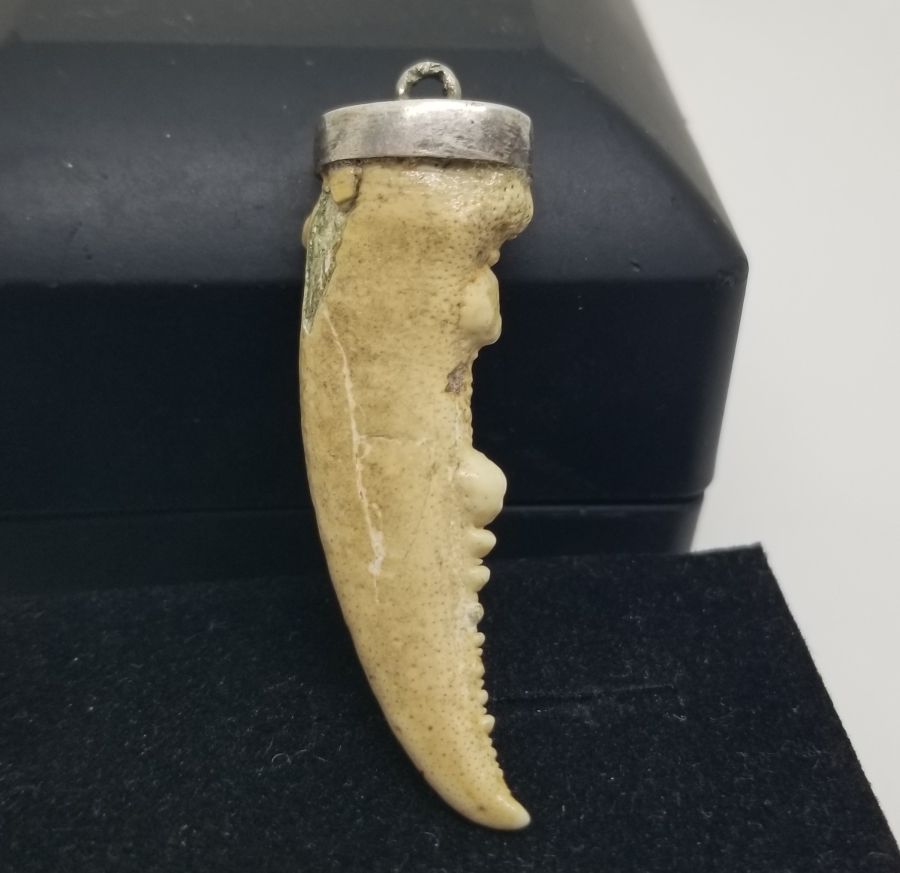 OSMANLI DÖNEMİ ŞAMAN KÜLTÜRÜ YENGEÇ BACAĞINDAN YAPILMIŞ KOLYE