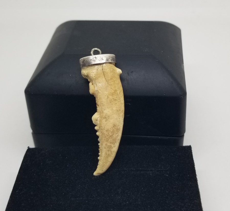 OSMANLI DÖNEMİ ŞAMAN KÜLTÜRÜ YENGEÇ BACAĞINDAN YAPILMIŞ KOLYE