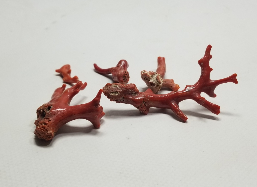 İŞLENMEMİŞ TUNUS MERCANLARI LOTU